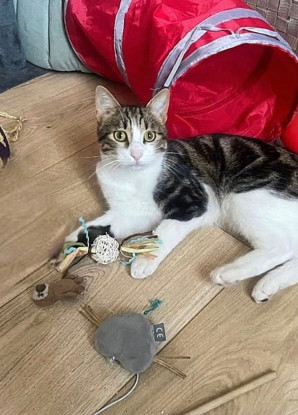Adopter Val