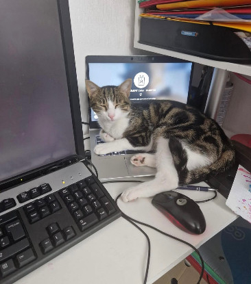 Adoption Val