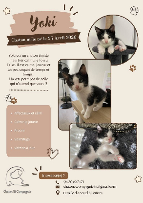 Adopter Yoki