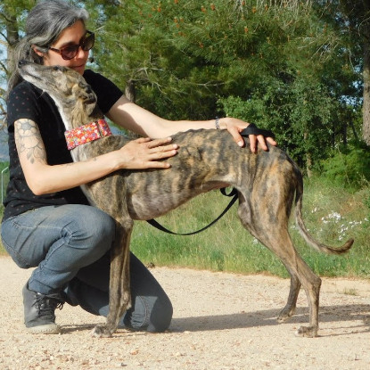 Adopter Triana