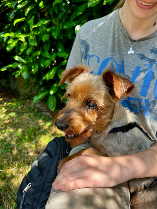 Adoption Cyane