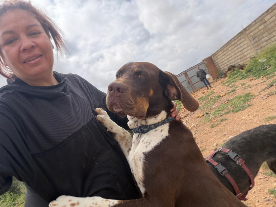 Adopter Chocolate
