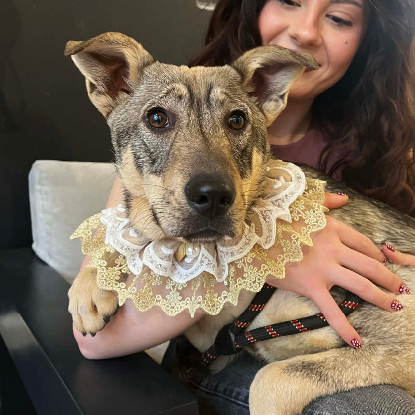 Adopter Opra