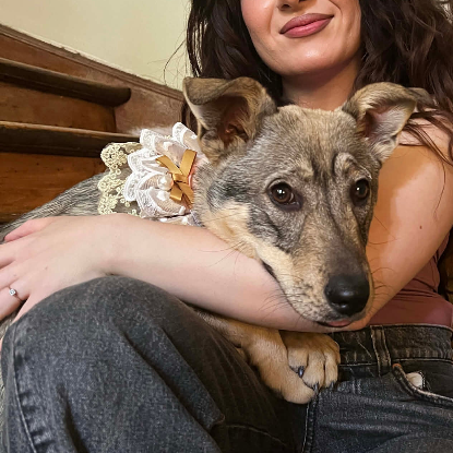 Adopter Opra