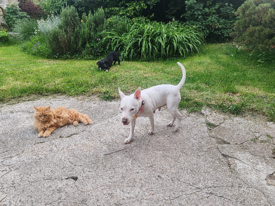 Adopter Emma