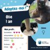 Olie