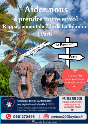 Adopter Appels aux dons