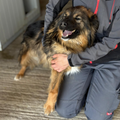 Adoption Toscane