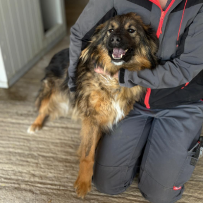 Adoption Toscane