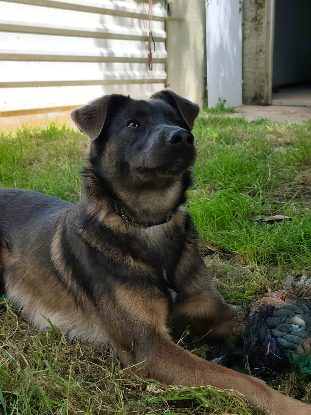 Adopter Byron