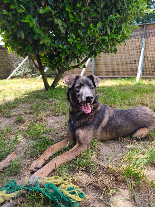 Adopter Byron