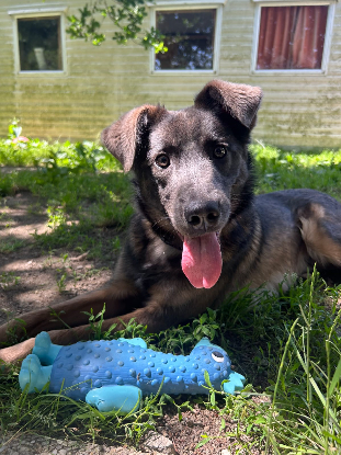 Adopter Byron