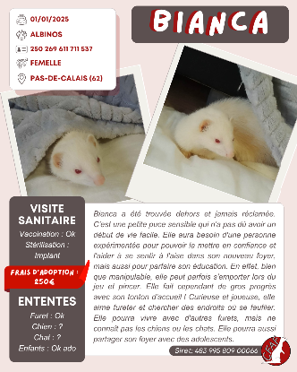 Adopter Bianca