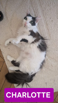 Adopter Charlotte