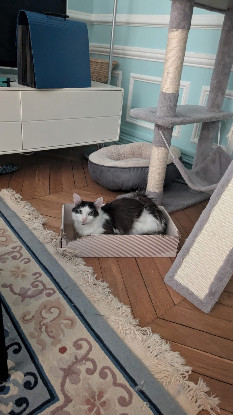 Adopter Charlotte