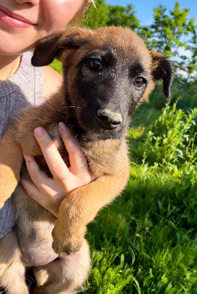 Adopter Leïa