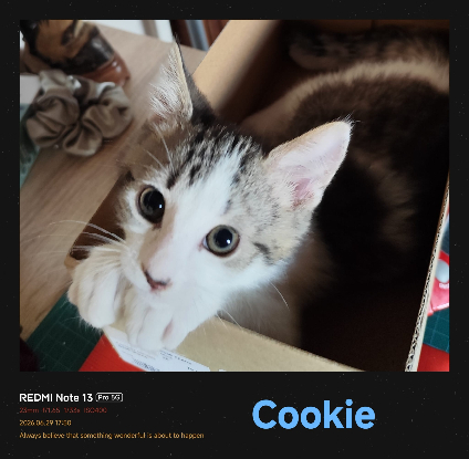 Adopter Cookie