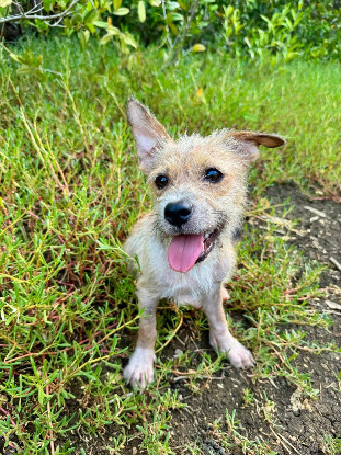Adopter Tina