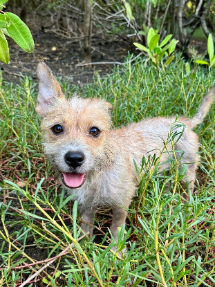 Adopter Tina