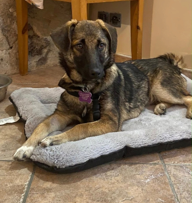 Adoption Linaé