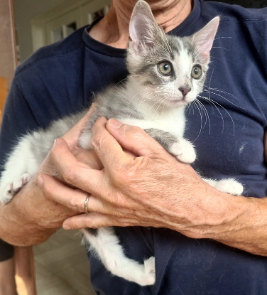 Adoption Duo calamity et cassidy