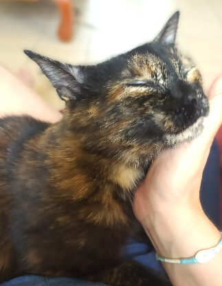 Adopter Rita