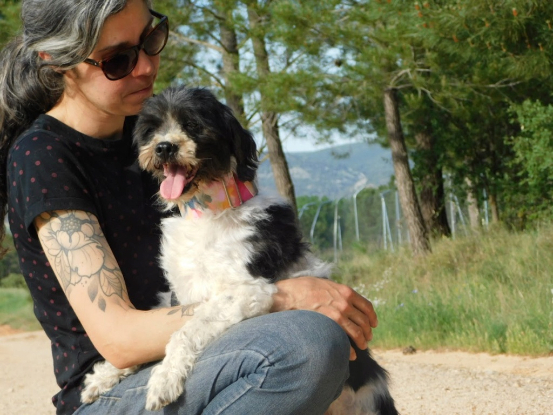 Adoption Bob