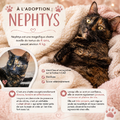 Adoption Nephtys