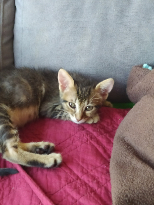 Adopter Bianca