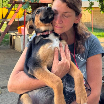 Adoption Zodia