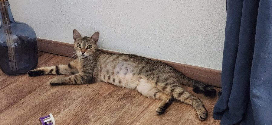 Adopter Yuka