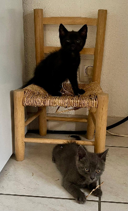 Adopter Neela & janie