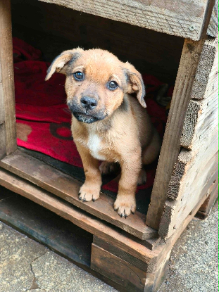 Adopter Mafate