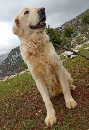 Adoption Biba