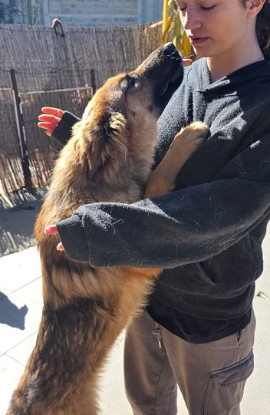 Adopter Diva