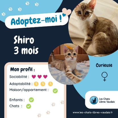 Adopter Shiro