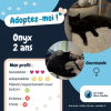 Onyx