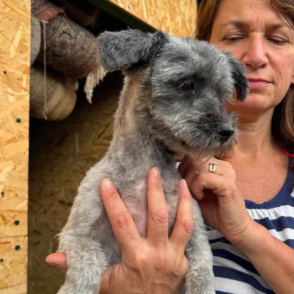Adoption Wendy