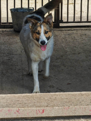 Adoption Kaitlyn
