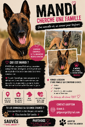 Adopter Mandi