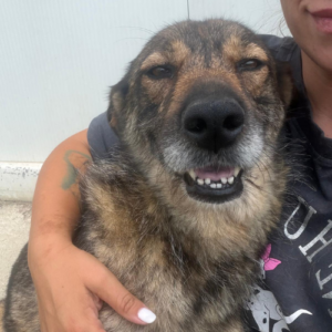 Adopter Shany