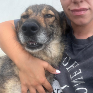Adopter Shany