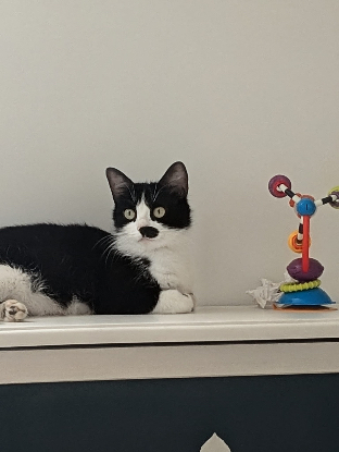 Adopter Makita