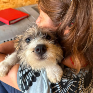 Adoption Frida