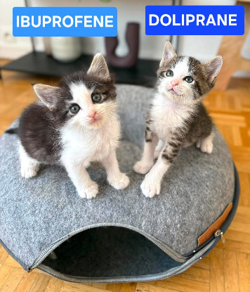 Adopter Ibuprofene et doliprane