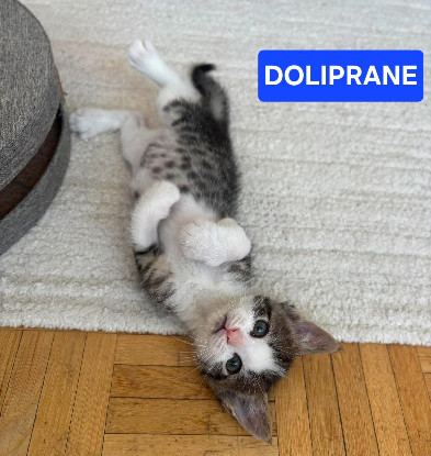 Adopter Ibuprofene et doliprane