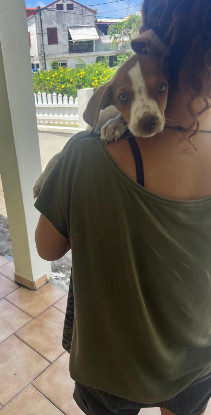 Adopter Myla