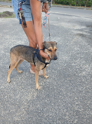 Adopter Ruby