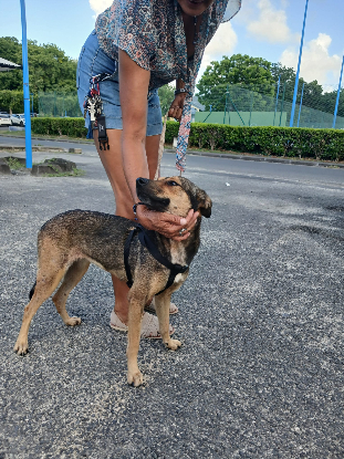 Adopter Ruby
