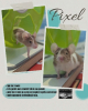 Pixel
